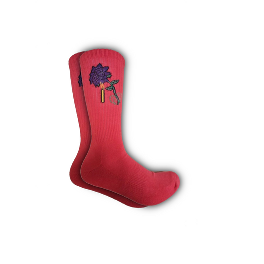 SOCK