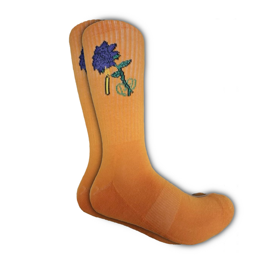 SOCK